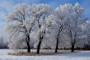 В Челябинске отменили занятия в школах