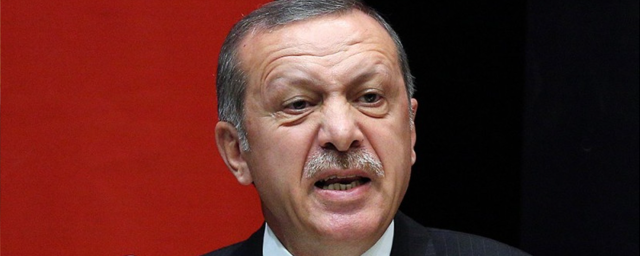 Эрдоган потребовал от прокуратуры разобраться с карикатурой на себя