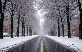 Март не обрадует теплом: синоптики рассказали, когда в Волгоград придет настоящая весна