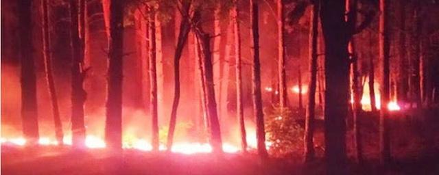 В Якутии нашли причастных к возникновению 16 лесных пожаров