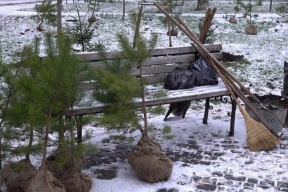 В Бердянске появился «Сад памяти»