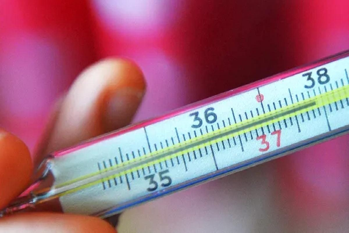 Врач Мясников рассказал о методе проверки щитовидной железы медицинским термометром