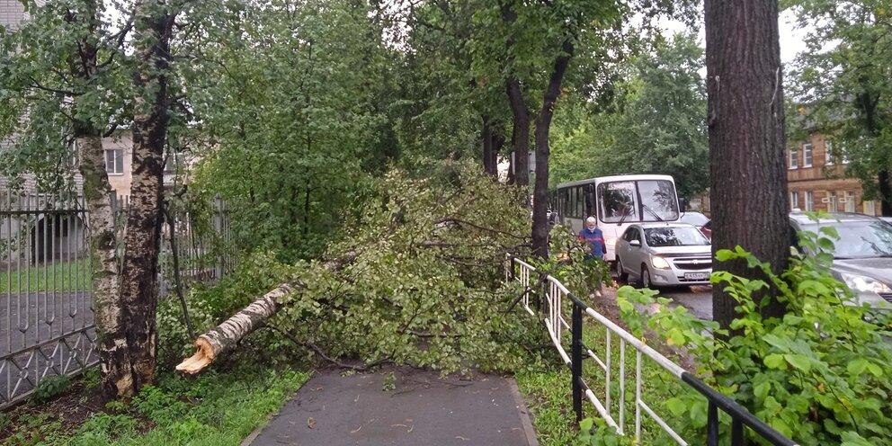 Ураган в Вологде. Ураган 2010 в Вологде.