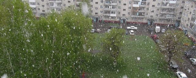 В Омской области после жары в 30 градусов ожидают похолодание и снег