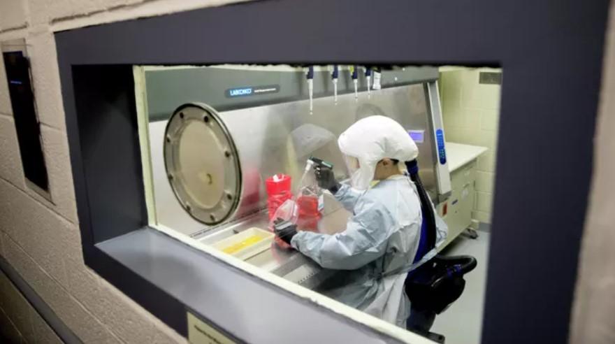 Минобороны РФ: США откроют 18 лабораторий за пределами страны для исследования опасных вирусов