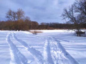 Трескучие морозы придут в Воронежскую область вслед за потеплением