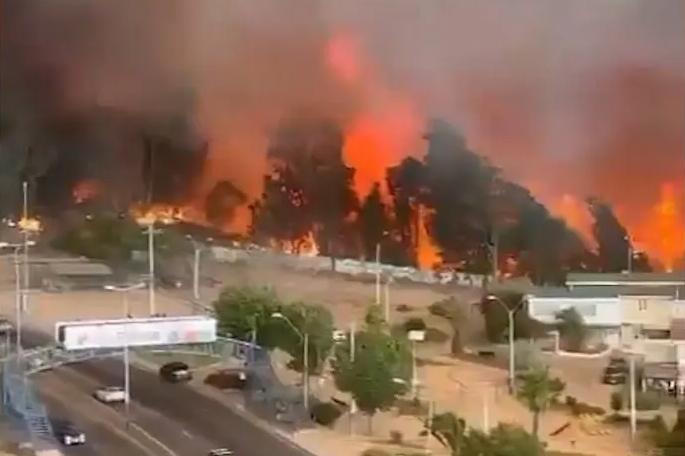 Число жертв лесных пожаров в Чили возросло до 46