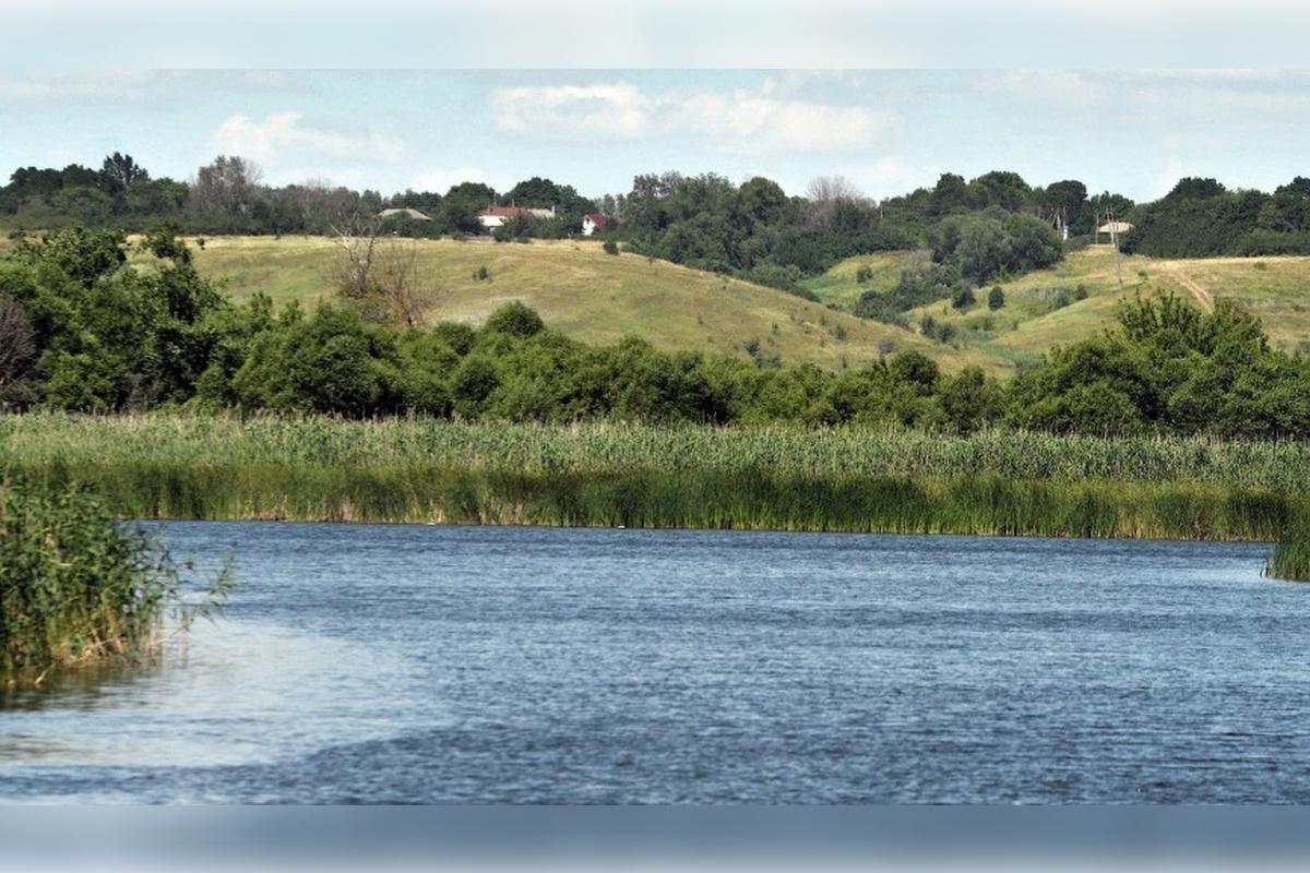 В Мордовии с начала года утонули 12 человек