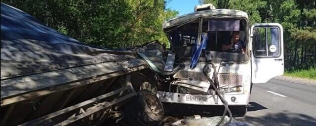 Семь человек получили травмы при столкновении автобуса и грузовика в Нижегородской области