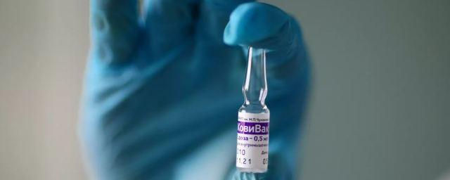 В ФАС согласовали стоимость новой упаковки вакцины «Ковивак»
