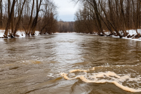 В Красноярском крае могут ввести режим ЧС из-за вышедшей из берегов реки