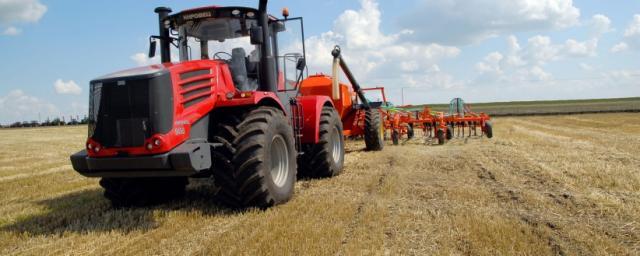 В Краснодарском крае собрали более 7,7 млн тонн зерна