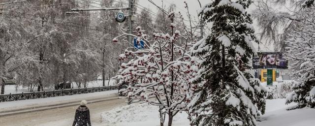 В Новосибирской области на выходных установится теплая погода