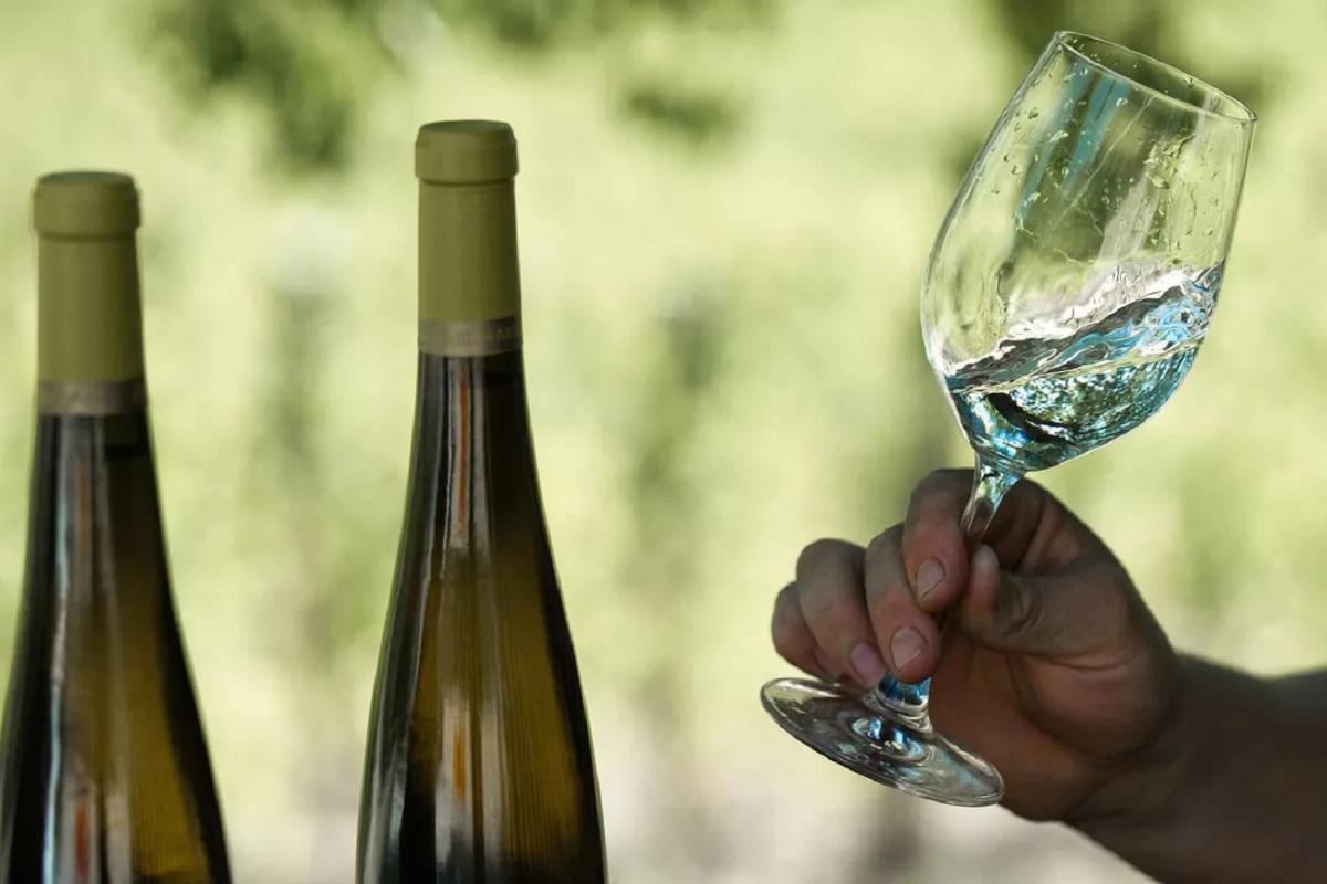 Кардиолог Ашихмин предупредил об опасности употребления алкоголя в жару