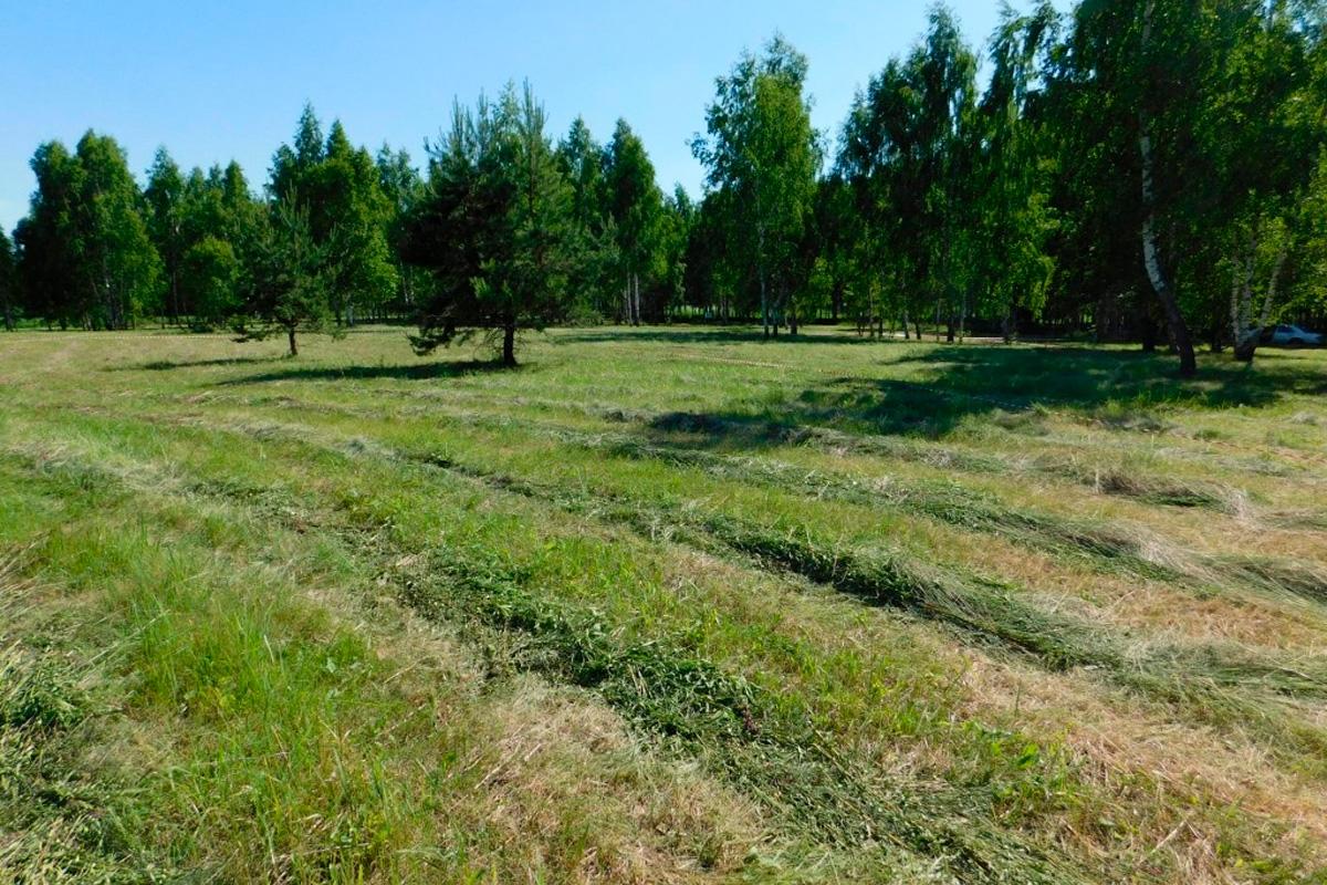 Более 2,2 тысяч владельцев участков изменили ВРИ в Московской области в 2025 году