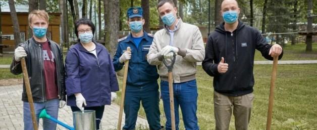 В Красногорске высадили 75 кустов сирени в детском городке «Сказочный»