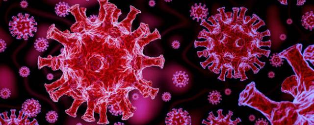 За последние сутки в России выявлены 17 717 заразившихся коронавирусом