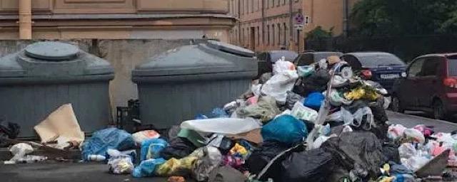 «Если набежит стая бродячих собак!»: петербуржцы опасаются последствий скопления мусора во дворах