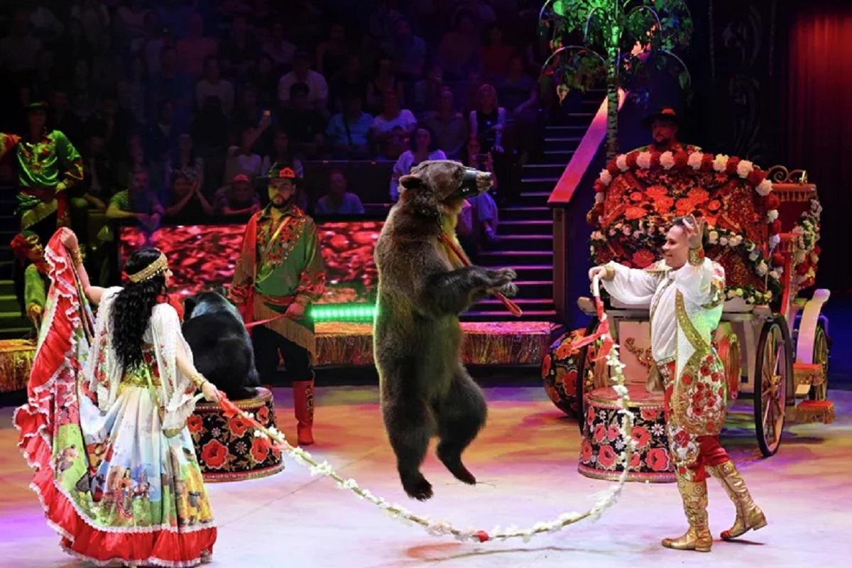 Четвертый фестиваль «Без границ» собрал 170 артистов на арене цирка на Фонтанке