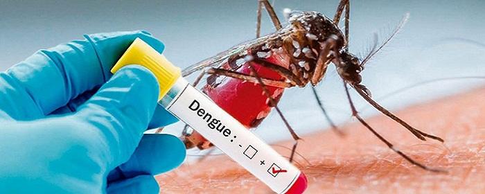 На юге Европы зарегистрировали крупнейшую вспышку лихорадки денге