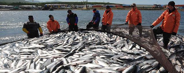 Генпрокуратура РФ признала нежелательной деятельность в России НПО Wild Salmon Center