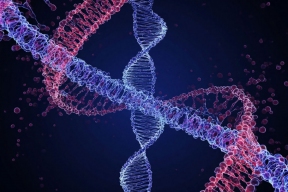 У супердолгожителей обнаружили генетическую мутацию