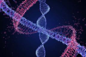 У супердолгожителей обнаружили генетическую мутацию