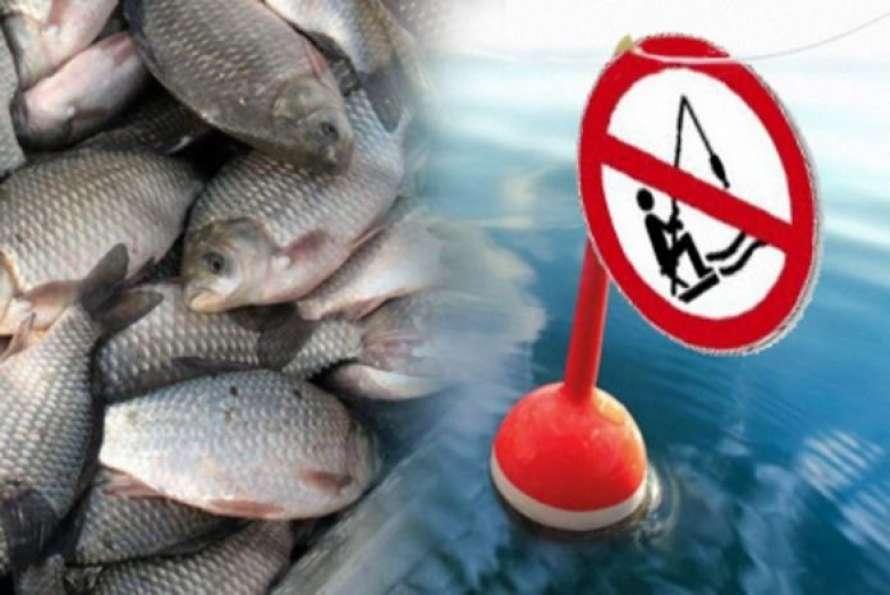 Новосибирские казаки будут охранять местные водоемы в период нереста рыб