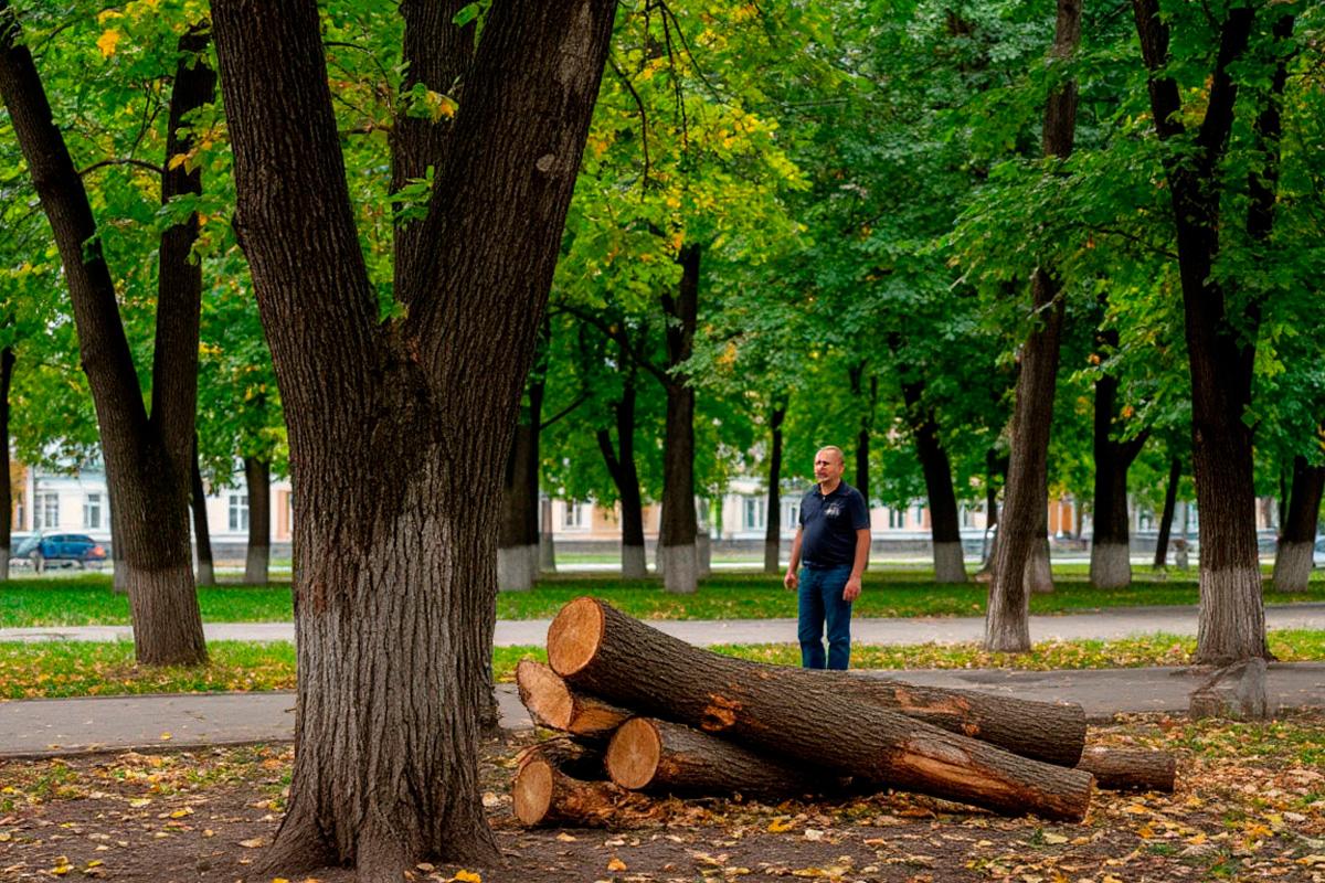 Жители микрорайона Юбилейный протестуют против застройки сквера