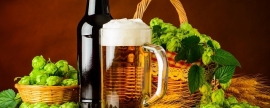 Все любят пиво: интересные факты о древнейшем алкогольном напитке