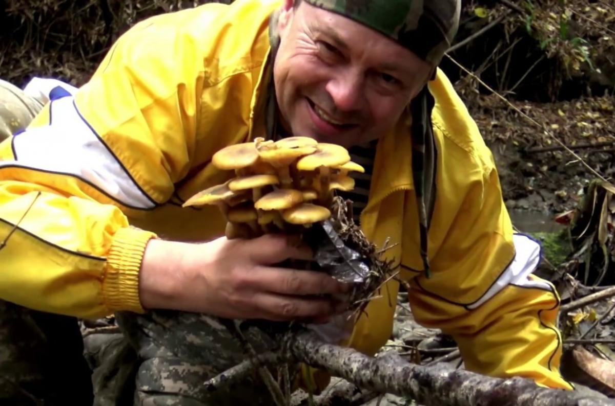 Эксперт Тихомиров: весенние грибы пошли в 2024 году раньше обычного