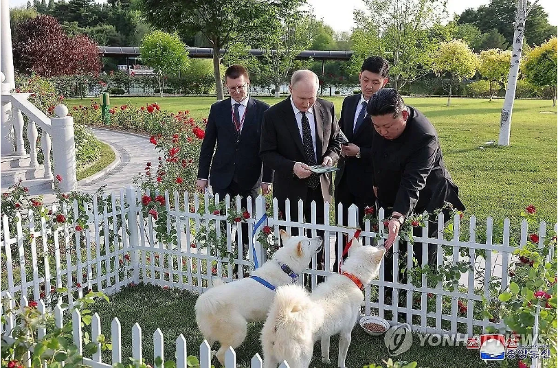 Путин (военный преступник) пока не дал клички собакам, которых ему подарил Ким Чен Ын