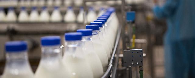 Россельхознадзор попросил ветслужбу Армении приостановить экспорт молочной продукции в РФ