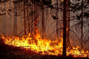 Ставрополье планирует закупить дроны, чтобы бороться с природными пожарами