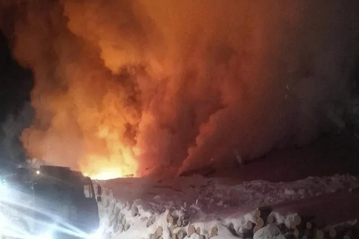 На ферме в Тогучинском районе сгорели более ста телят