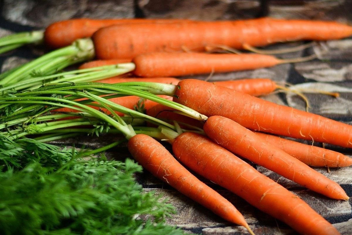 Ученые выявили неожиданные свойства молодой моркови