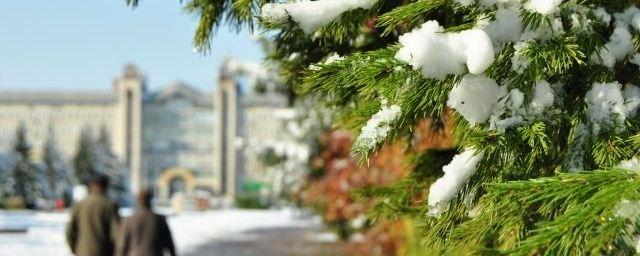 Скверы и парки Тюмени зимой не будут посыпать солью