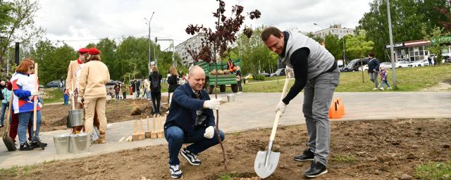 В Пушкине рамках акции «Лес Победы» на набережной высадили 95 деревьев