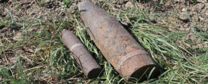 Грибник из Ивановской области наткнулся в лесу на артиллерийский снаряд времен ВОВ