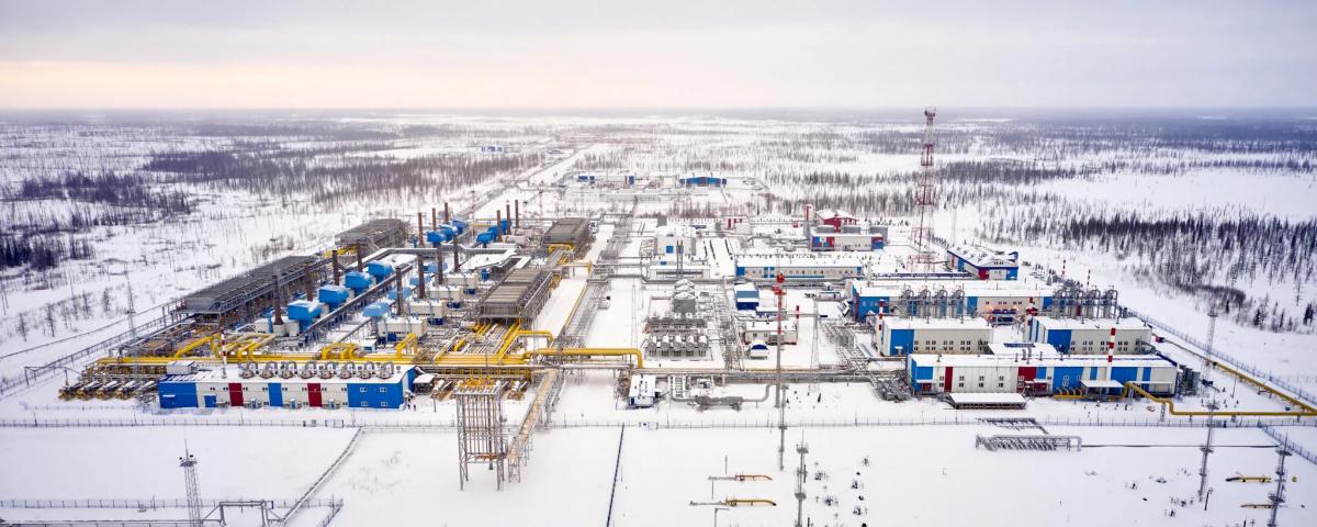 Путин распорядился лишить Wintershall и OMV доли в российских активах