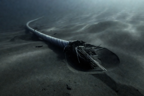 Повреждение подводного кабеля временно прервало энергоснабжение между Польшей и Швецией