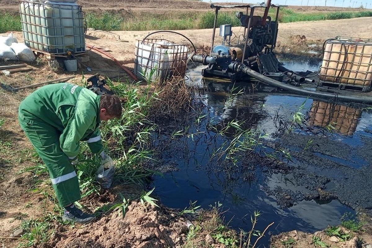 «Токсичное озеро» под Волгоградом: ущерб оценен в сотни тысяч рублей