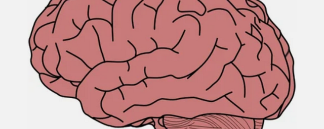 Наука имеет потенциал для выявления у ребенка аутизма еще до рождения