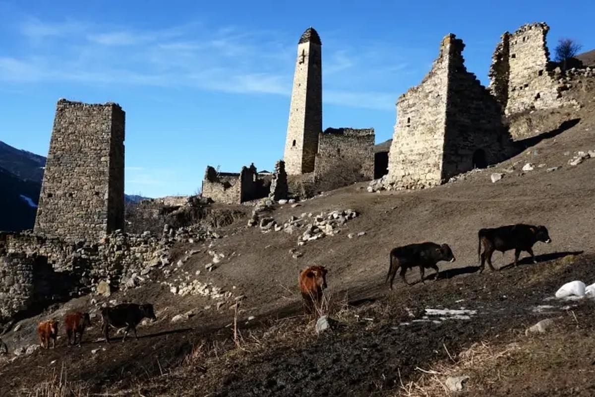 Ингушетия запускает подготовку мастеров по деревообработке и строительству башен