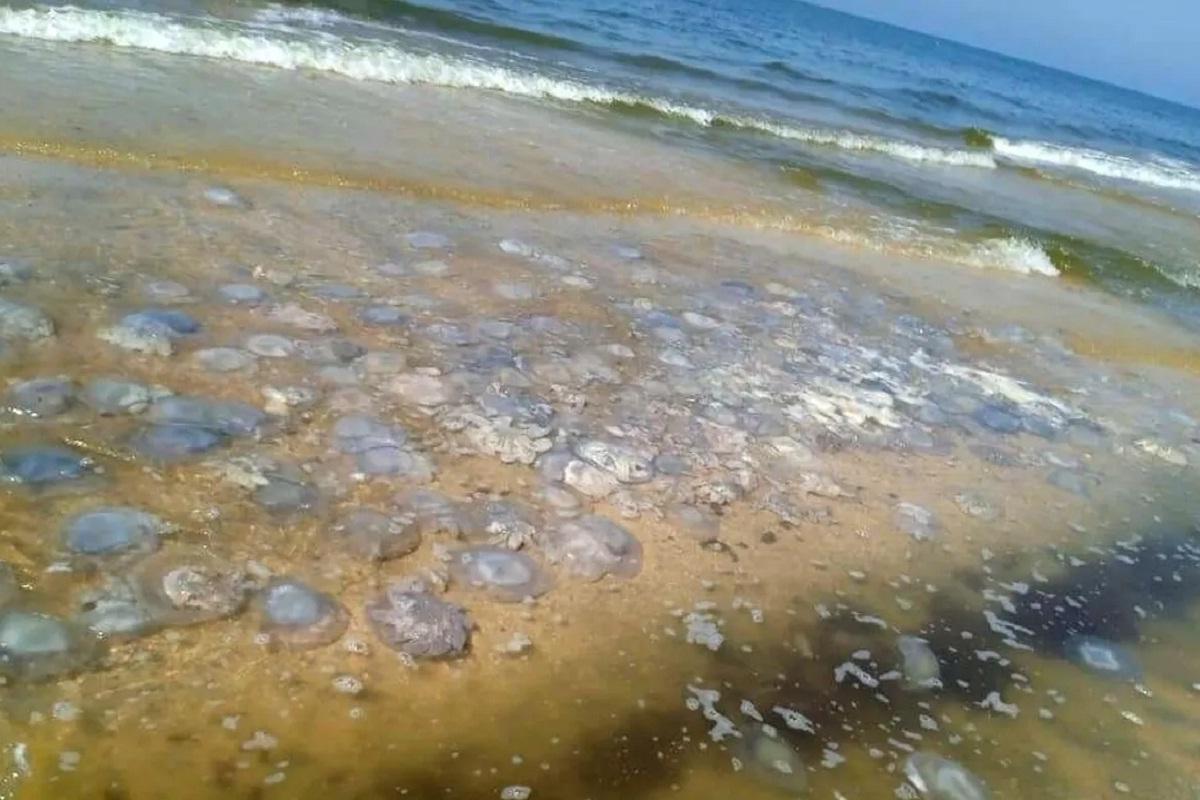 Россияне раскритиковали отдых на Азовском море