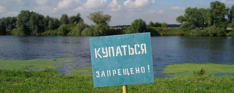 В Чите у загрязнённых рек установили 11 табличек «Купаться запрещено»