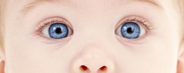 ИИ определил возраст ребенка, разглядывающего картинки