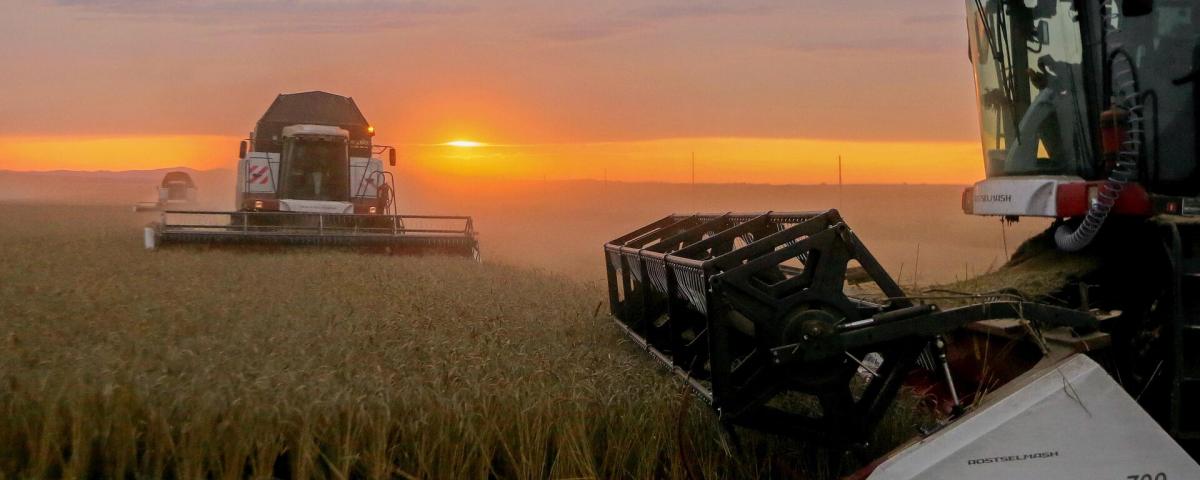 Украина и Польша начали аграрную войну из-за зерновой сделки