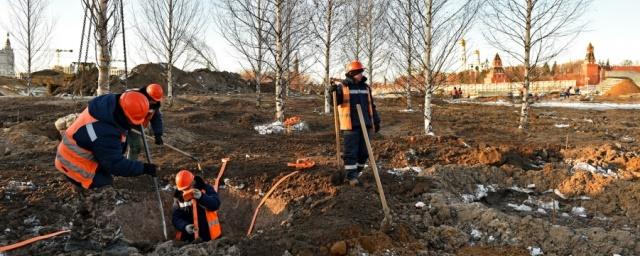 В Москве завершается высадка деревьев и кустарников в парке «Зарядье»