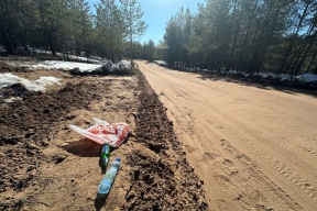 В Оренбуржье инспекторы Бузулукского бора жалуются на водителей, мусорящих на дороге
